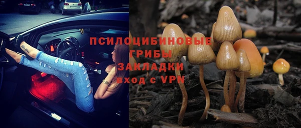 эйфоретик Баксан